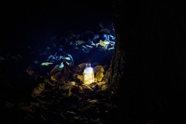 Bahçede gece ışığı olan güzel bir şişe manzarası. Lamba sihirli toz iksiri ormanda şişe içinde. Uzun pozlu çekim. Seçici odak