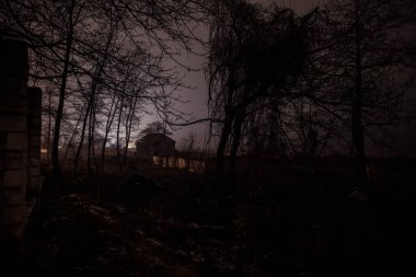 Sisli bir gecede ormanda bir hayaletin olduğu eski bir ev ya da House 'un ayın altında olduğu bir gece sahnesi. Ölü ağaç ormanındaki eski mistik bina..
