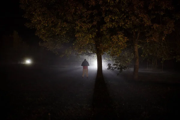 Silhouette of person standing in the dark forest with light. Horror halloween concept. strange silhouette in a dark spooky forest at night