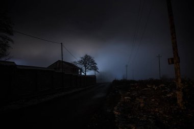 Sisli bir gecede ormanda bir hayaletin olduğu eski bir ev ya da House 'un ayın altında olduğu bir gece sahnesi. Ölü ağaç ormanındaki eski mistik bina..
