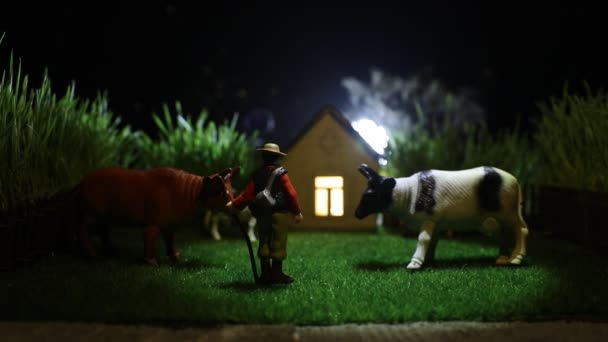Krávy Farmě Koncept Života Farmě Vesnici Dekorativní Figurky Noci Selektivní — Stock video