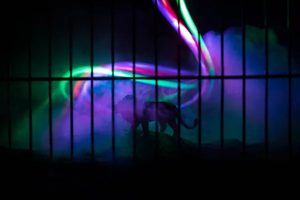 Silhouette of a lion miniature standing in a zoo cage dreams of freedom. Creative decoration with colorful backlight with fog. Selective focus