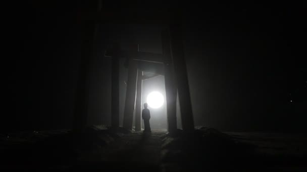 Záběry Abstraktního Japonského Dřevěného Tunelu Noci Noční Scéna Lese Fantazie — Stock video