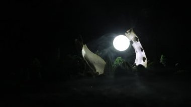 Karanlıktaki dev hayvan kemiği. Gece sisli ve arka planda ışık var. Seçici odak