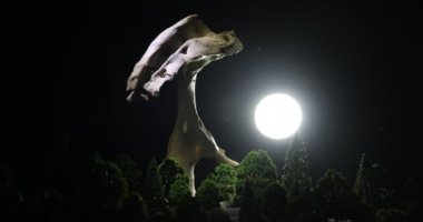 Karanlıktaki dev hayvan kemiği. Gece sisli ve arka planda ışık var. Seçici odak