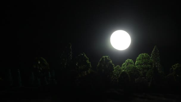 Πλάνα Από Πράσινο Δάσος Νύχτα Φεγγάρι Λάμπει Από Πάνω — Αρχείο Βίντεο