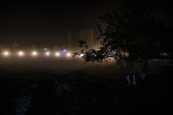 Trees and street lamps on a quiet foggy night. Foggy misty evening lamps in empty road at forest.