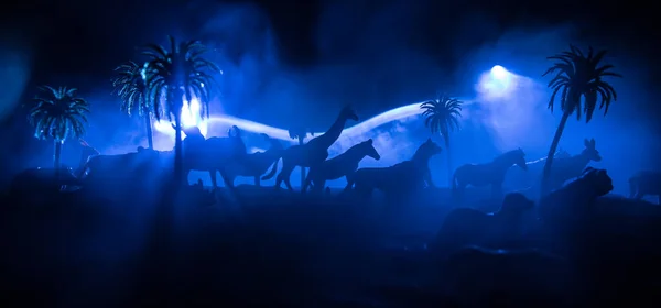 Eine Gruppe Tiere Gruppiert Sich Nebliger Nacht Vor Brennend Buntem — Stockfoto