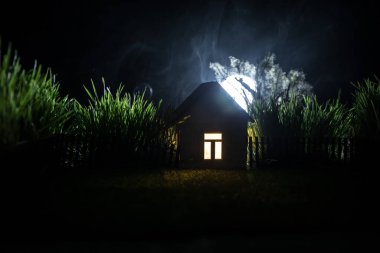 Gece sessiz köyde dolunay var. Ay ışığının altında dev yeşil çimenleri olan dekoratif bir oyuncak evi. Seçici odak