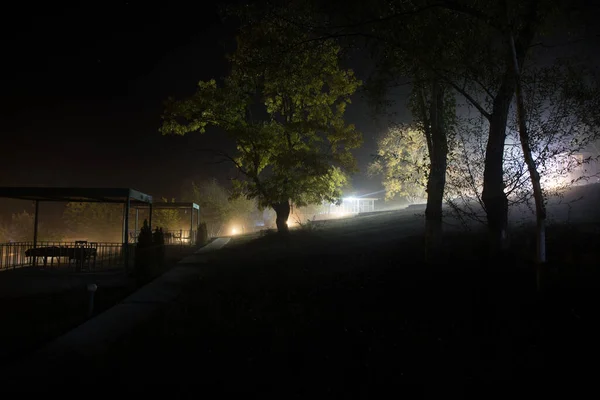 Sessiz Sisli Bir Gecede Ağaçlar Sokak Lambaları Ormandaki Boş Yolda — Stok fotoğraf