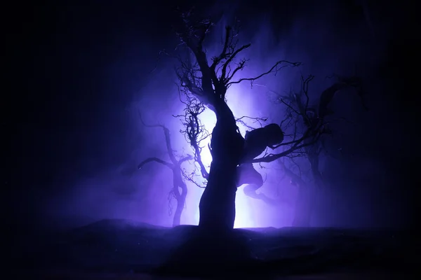 Spooky Dark Landscape Showing Silhouettes Trees Swamp Misty Night Night — Stock Photo, Image