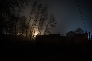 Sisli bir gecede ormanda bir hayaletin olduğu eski bir ev ya da House 'un ayın altında olduğu bir gece sahnesi. Ölü ağaç ormanındaki eski mistik bina..