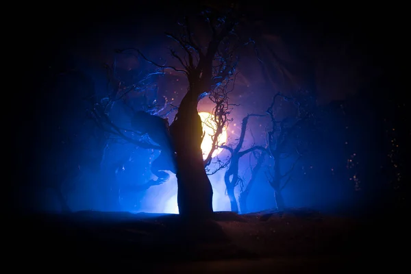 Straszny Ciemny Krajobraz Ukazujący Sylwetki Drzew Bagnach Mglistą Noc Tajemniczy — Zdjęcie stockowe