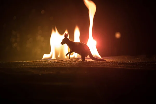 Sylwetka Miniatury Kangura Stojącej Mglistą Noc Kreatywna Dekoracja Stołu Kolorowym — Zdjęcie stockowe