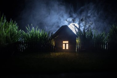Gece sessiz köyde dolunay var. Ay ışığının altında dev yeşil çimenleri olan dekoratif bir oyuncak evi. Seçici odak