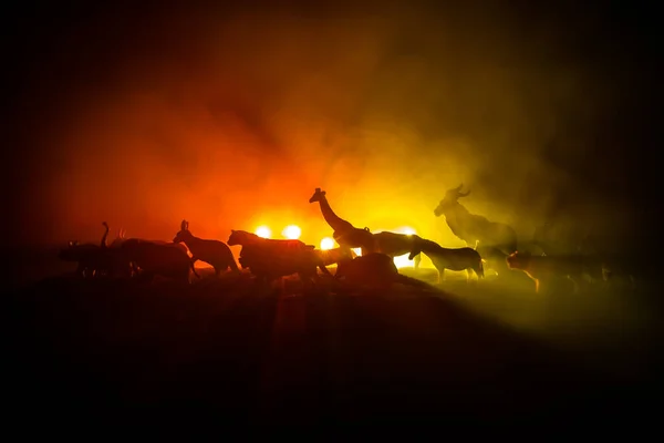 Grupo Animais Agrupado Noite Nebulosa Com Fundo Colorido Ardente Animais — Fotografia de Stock