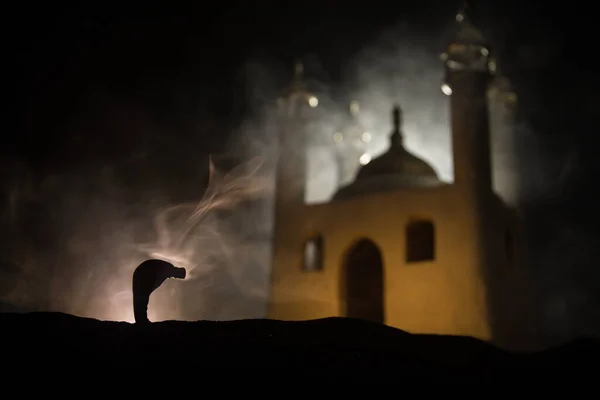 Silhouette Mosque Building Toned Foggy Background Ramadan Kareem Background Realistic — Stock Photo, Image