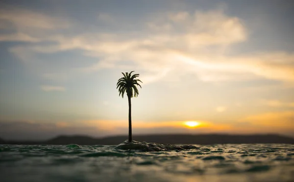 Romantic Sunset Scene Fantasy Landscape Little Island Palms Sunset Creative — Stock Photo, Image