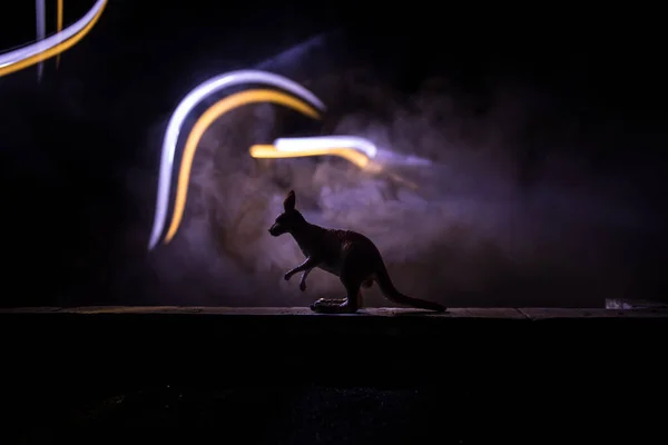 Sisli Bir Gecede Duran Bir Kanguru Minyatürünün Silueti Renkli Arka — Stok fotoğraf