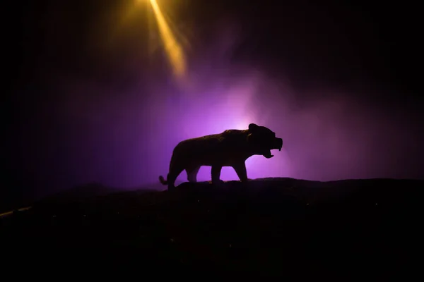 Силуэт Миниатюры Тигра Стоящего Туманную Ночь Творческое Оформление Красочной Подсветкой — стоковое фото