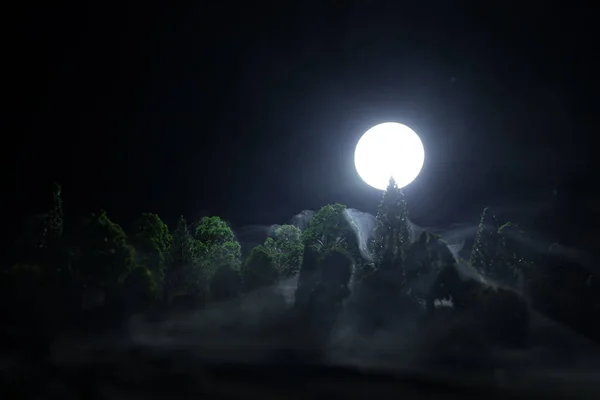 Luna Llena Sobre Bosque Por Noche Paisaje Nocturno Escénico Carretera — Foto de Stock