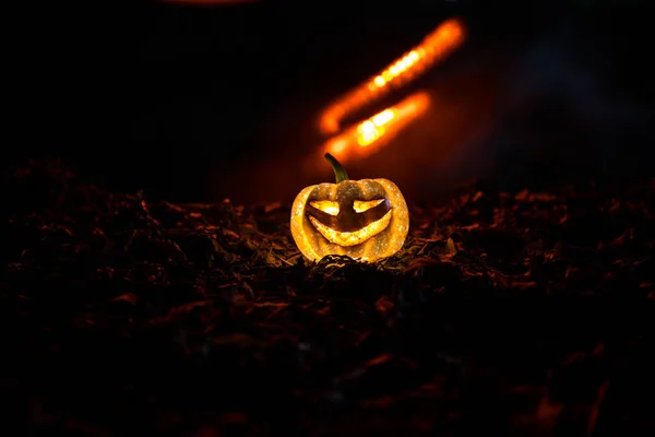Halloween Jack Linterna Hojas Otoño Calabaza Halloween Asustadiza Mirando Través —  Fotos de Stock