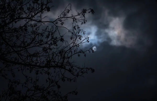 Lua Cheia Sobre Aldeia Tranquila Noite Bela Paisagem Noturna Aldeia — Fotografia de Stock