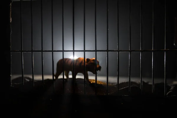 Силуэт Миниатюры Тигра Стоящего Клетке Зоопарка Мечтает Свободе Творческое Оформление — стоковое фото