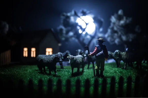 Sheep Farm Farm Village Life Concept Decorative Toy Figures Night — Stock Photo, Image