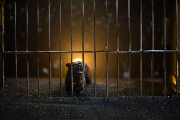 Силуэт Медвежьей Миниатюры Стоящей Клетке Зоопарка Мечтает Свободе Творческое Оформление — стоковое фото