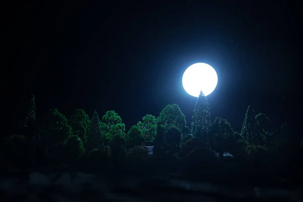 Full moon over the forest at night. Scenic night landscape of country road at night with large moon. Miniature decoration. Selective focus