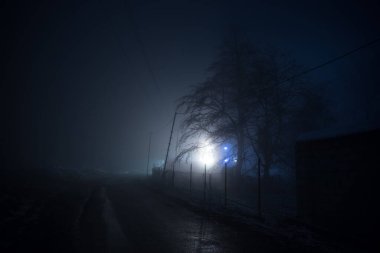 Sisli bir gecede ormanda bir hayaletin olduğu eski bir ev ya da House 'un ayın altında olduğu bir gece sahnesi. Ölü ağaç ormanındaki eski mistik bina..