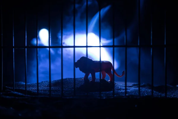 Silhueta Leão Miniatura Uma Gaiola Jardim Zoológico Sonhos Liberdade Decoração — Fotografia de Stock