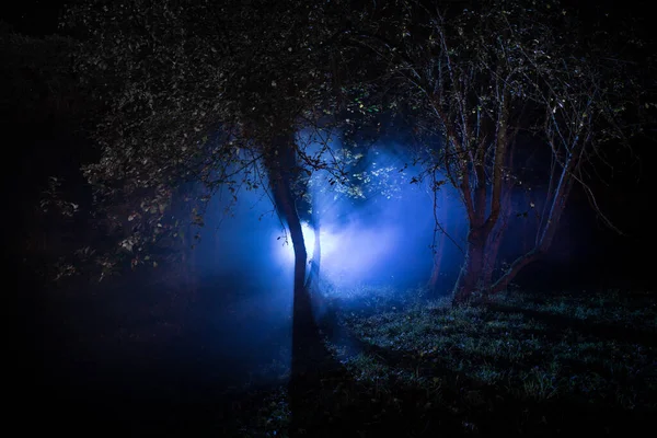 Donkere Nacht Het Bos Mist Een Surrealistische Nachtelijke Bosscène Horror — Stockfoto