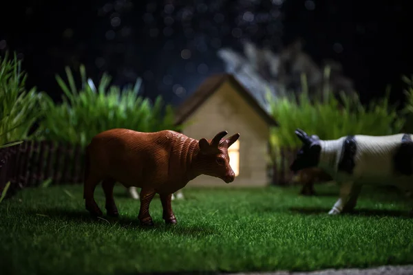 農場で牛の群れ ファーム ライフコンセプト 夜の装飾的なおもちゃの数字 選択的焦点 — ストック写真