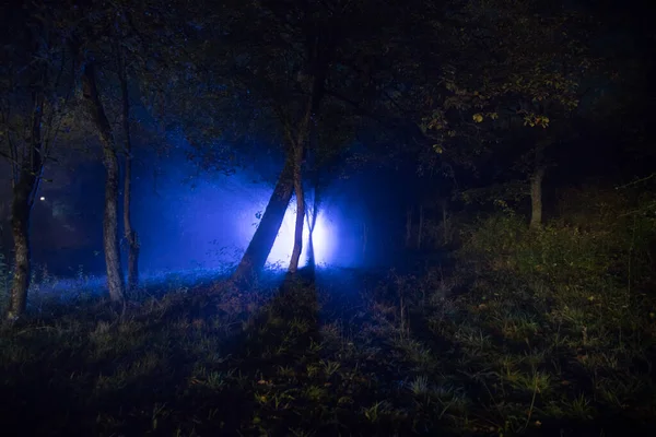 Темная Ночь Лесу Время Тумана Сюрреалистичная Ночная Сцена Концепция Хэллоуина — стоковое фото