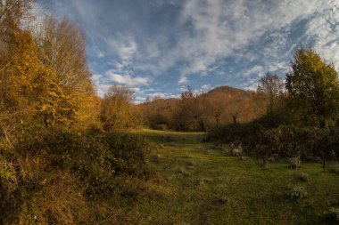 Günbatımında asfalt dağ yolu olan renkli sonbahar ormanıyla muhteşem bir manzara. Sonbaharda akşamları boş yollar, ağaçlar ve güneş ışığı olan güzel bir manzara. Seyahat geçmişi. Doğa
