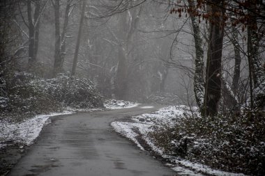 Dağlardaki kış ağaçları taze karla kaplıdır. Ağaç dallarının karla kaplı olduğu güzel bir manzara. Kafkasya 'daki dağ yolunda. Azerbaycan
