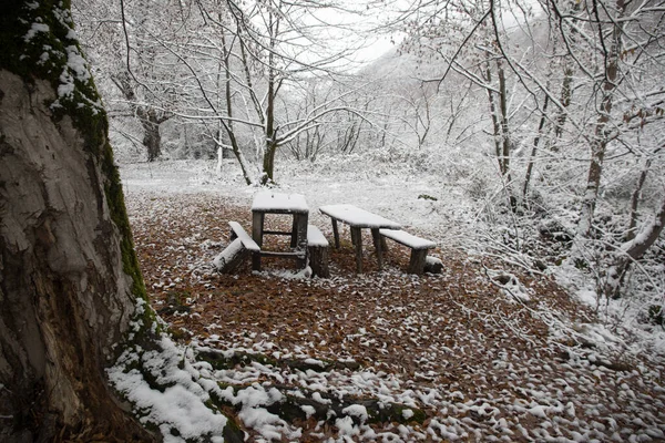 Старый Деревянный Стол Покрытый Снегом Зимнем Лесу Снежный Фон Зимняя — стоковое фото
