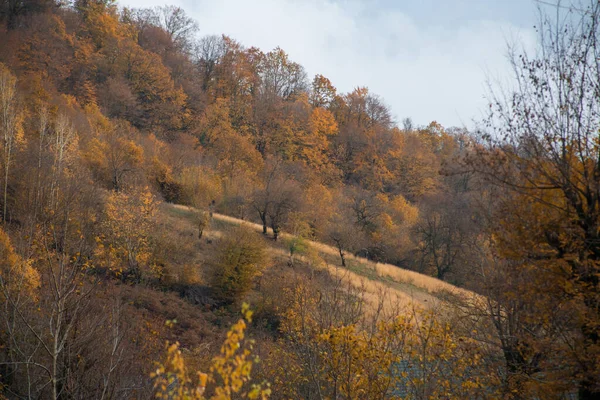 Vista Incrível Com Floresta Outono Colorido Com Estrada Montanha Asfalto — Fotografia de Stock