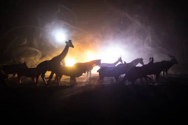 Bir Grup Hayvan Sisli Bir Gecede Yanan Renkli Bir Geçmişle — Stok fotoğraf