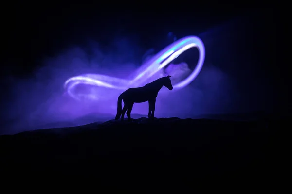在雾蒙蒙的夜晚 一匹小型马的轮廓 富有创意的餐桌装饰 背光五彩缤纷 雾气弥漫 有选择的重点 — 图库照片