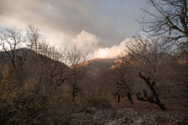 Günbatımında asfalt dağ yolu olan renkli sonbahar ormanıyla muhteşem bir manzara. Sonbaharda akşamları boş yollar, ağaçlar ve güneş ışığı olan güzel bir manzara. Seyahat geçmişi. Doğa