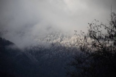 Günbatımında asfalt dağ yolu olan renkli sonbahar ormanıyla muhteşem bir manzara. Sonbaharda akşamları boş yollar, ağaçlar ve güneş ışığı olan güzel bir manzara. Seyahat geçmişi. Doğa