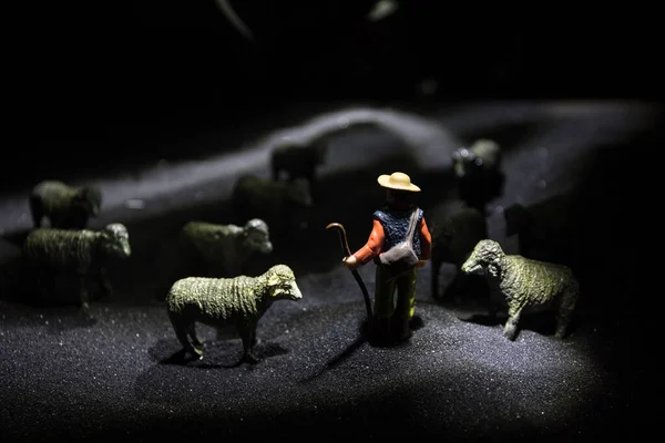 农场里的羊一群羊在田野里的轮廓 装饰玩具的形象在晚上 有选择的重点 — 图库照片