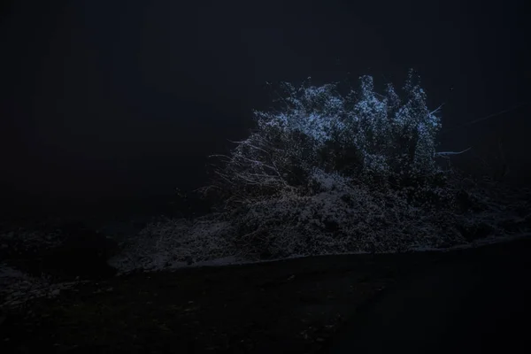 Horská Cesta Zasněženým Lesem Úplňku Scénická Noční Zimní Krajina Tmavě — Stock fotografie