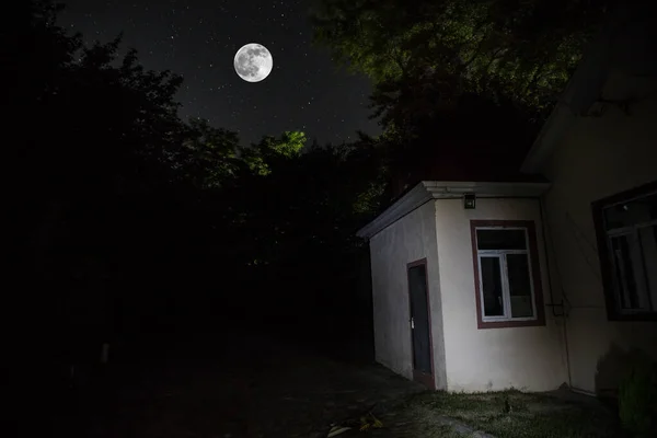 집이나 버려진 하우스 신비의 나무는 초현실적 공포의 핼러윈 — 스톡 사진