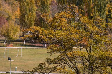 Renkli sonbahar ormanıyla muhteşem bir manzara. Sonbahar mevsiminde güzel ağaçlar. Azerbaycan Doğası