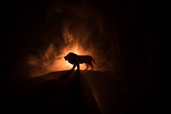 Silhouet Van Een Leeuwenminiatuur Die Het Donker Staat Creatieve Decoratie — Stockfoto