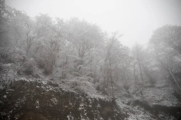 Árboles Invierno Montañas Cubiertas Nieve Fresca Hermoso Paisaje Niebla Con —  Fotos de Stock